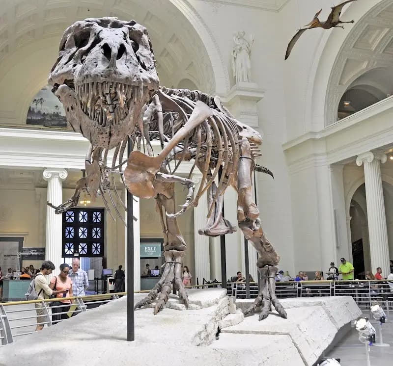 Field Museum